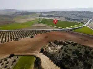 התהליך של רכישת קרקע