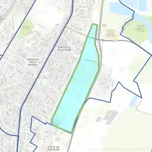 קדמת ביאליק