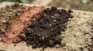 צבעי קרקעות